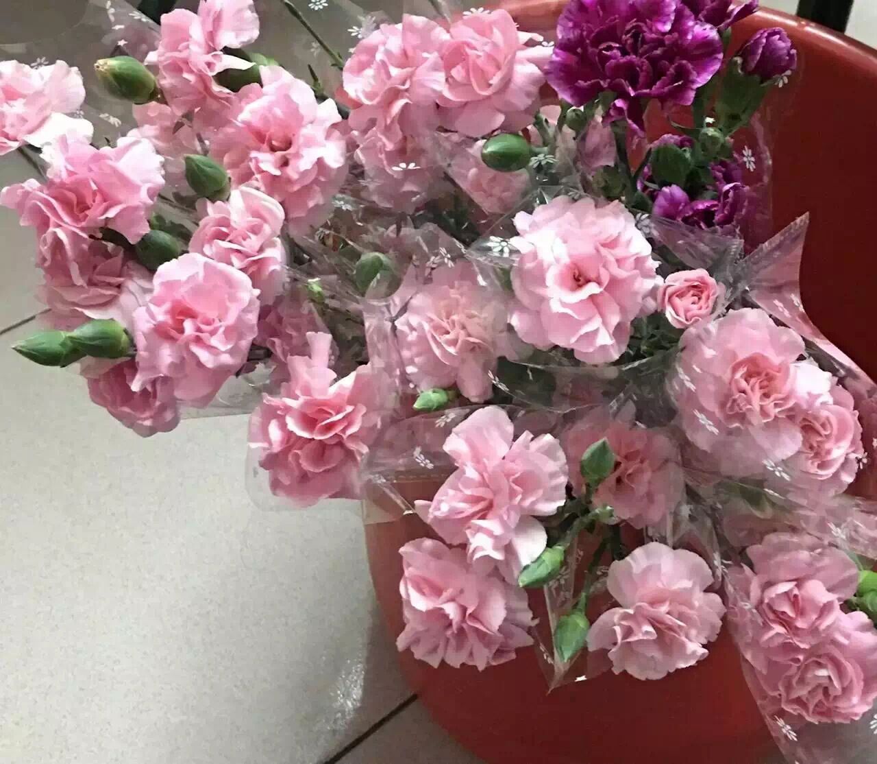 女神節(jié)快樂